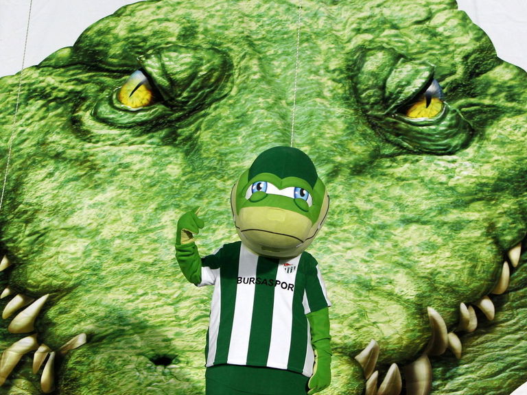 PHOTO Turkish stadium is shaped like a crocodile; best stadium