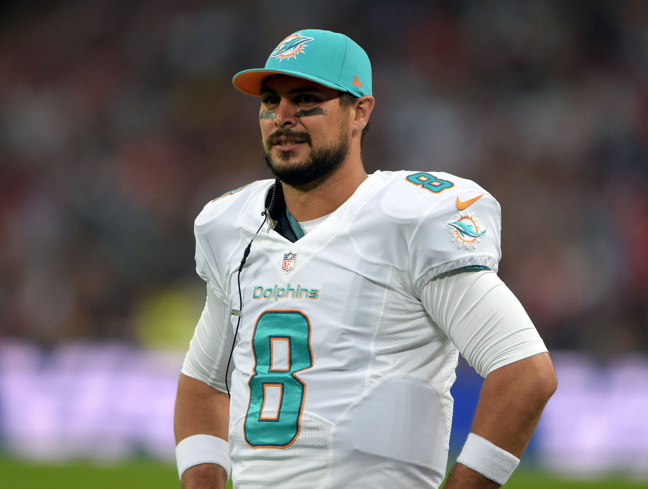 Miami Dolphins fans chant for Matt Moore