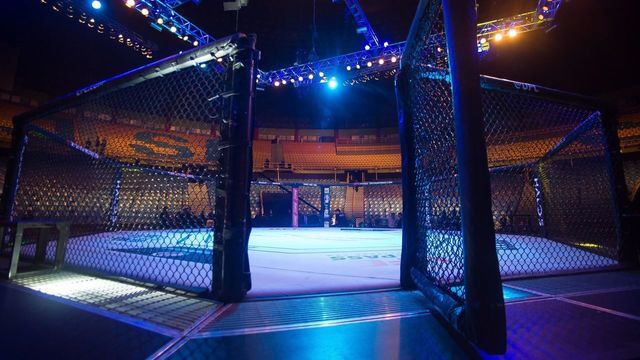 Florida deems pro sports essential, opens door for UFC amid pandemic