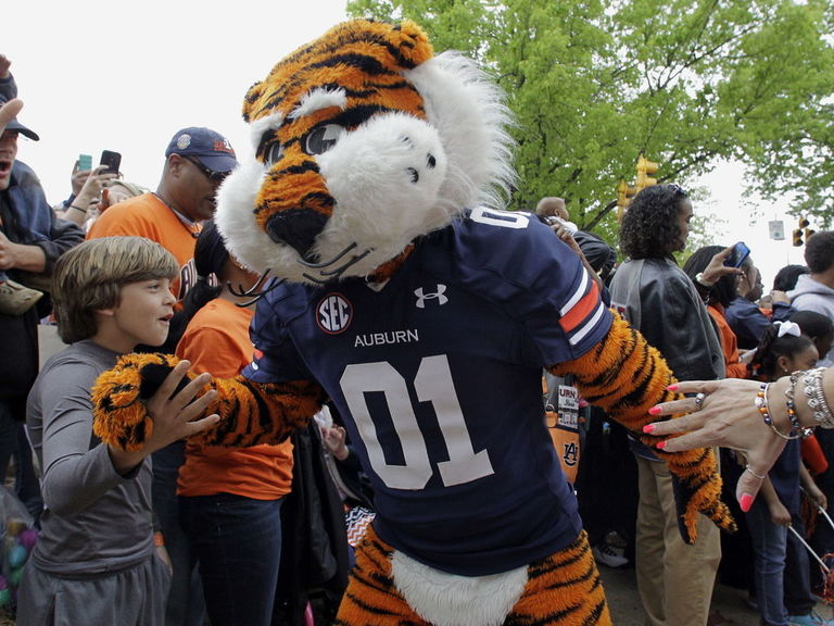 Nfl football PHOTO: Auburn mascot stands alone | theScore.com
