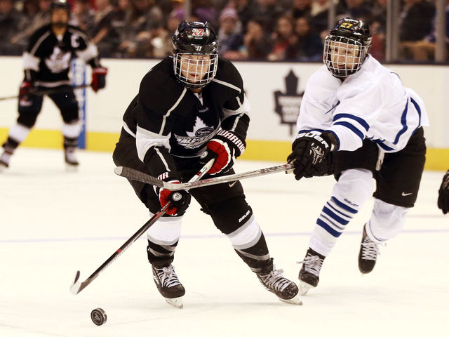 CWHL to become 2nd women's hockey league to pay its players