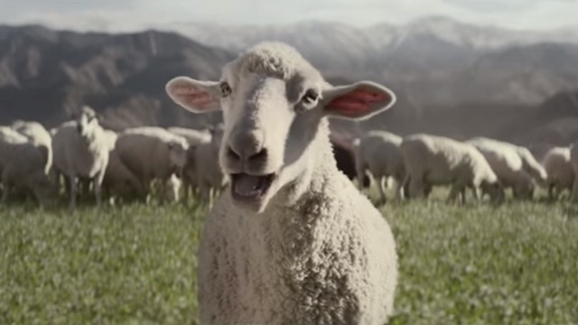 VIDEO: Singing sheep steal the show in Honda's Super Bowl ad