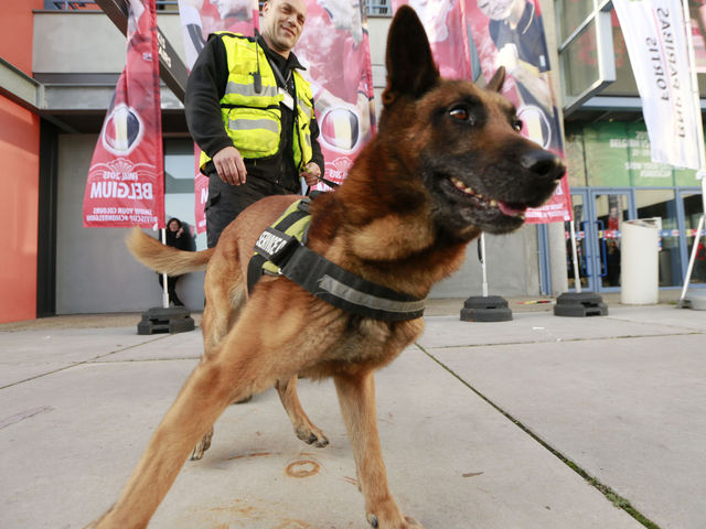 Aberdeen's Jonny Hayes returns to fitness after dog bite ...