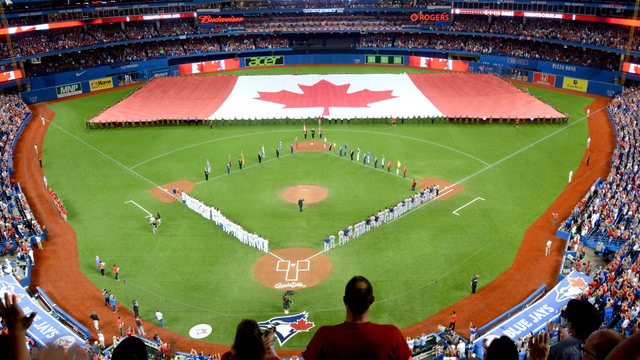 Blue Jays to install dirt infield this season