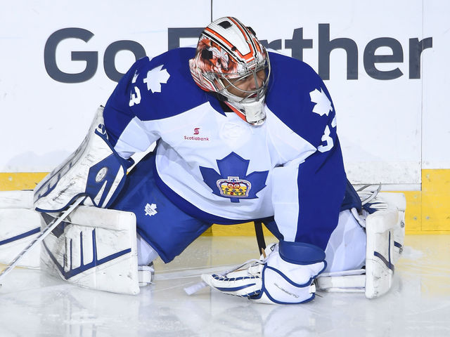Marlies release former NHLer Ray Emery from professional tryout