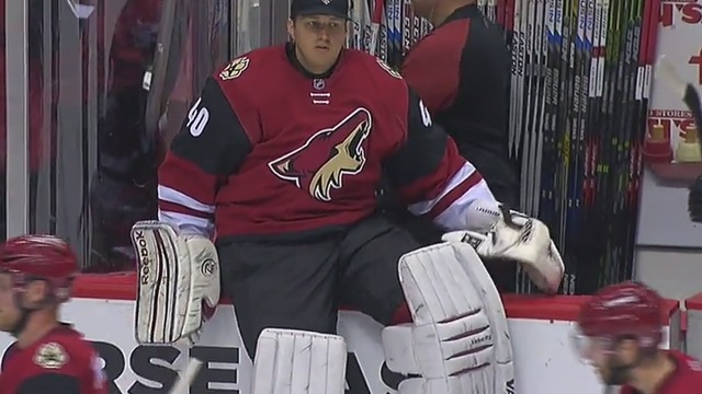 Coyotes turn to men's league goalie as emergency backup vs. Canadiens