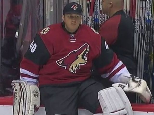 Coyotes turn to men's league goalie as emergency backup vs. Canadiens