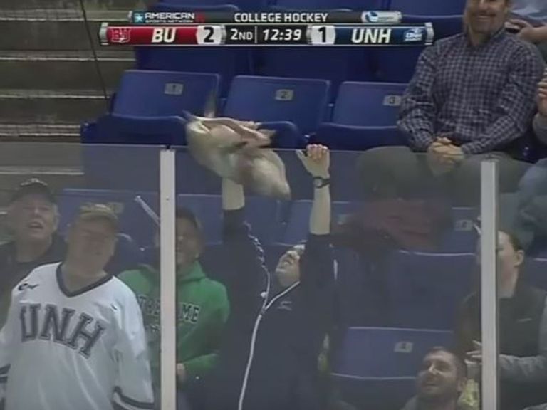 VIDEO College hockey fan fails at flinging fish