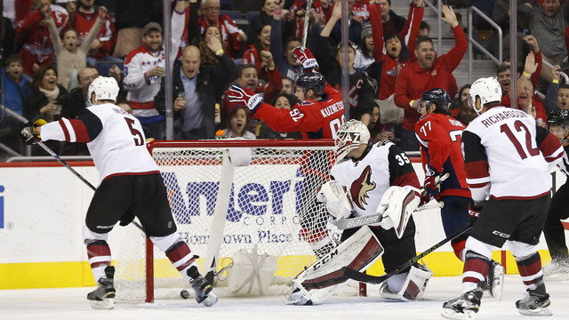 Coyotes' Domingue accuses referees of giving Holtby, Caps preferential treatment
