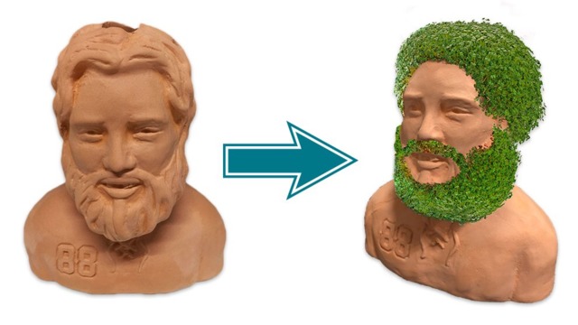 Sharks giving away limited edition 'Chia Burns' in March