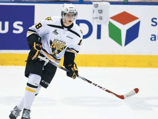 Touted prospect Pierre-Luc Dubois suspended until further notice