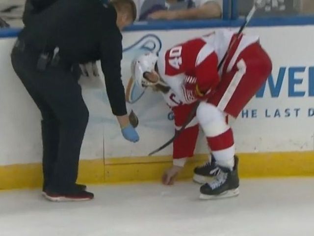Datsyuk loses tooth, Zetterberg picks it up for him