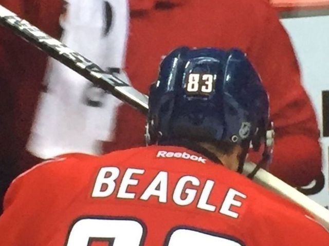 Watch: Beagle somehow gets stick stuck in visor