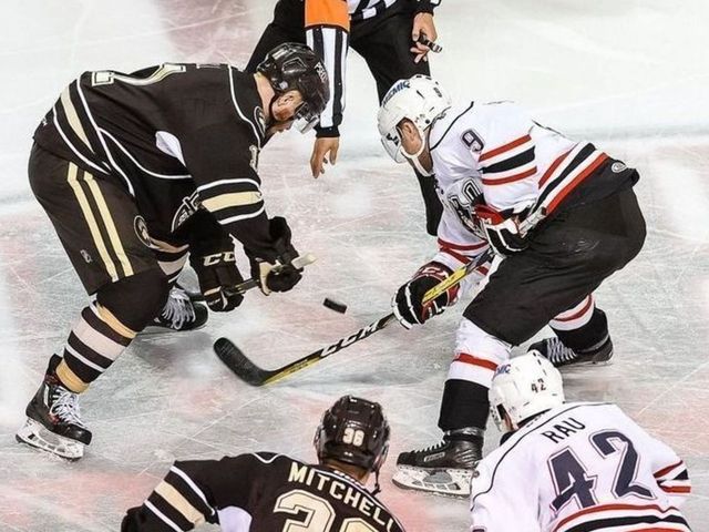 Panthers' AHL outfit moving from Portland to Springfield