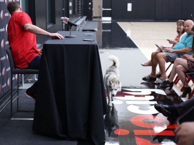 Meyers Leonard's dog interrupts Stotts' media session