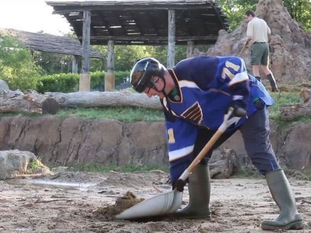Dallas Zoo makes good on elephant poop bet after Stars eliminated