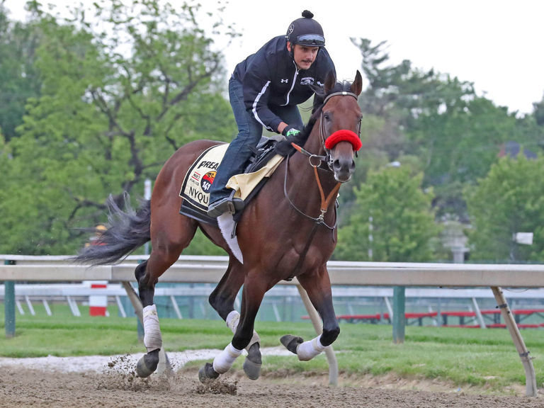 4 expert picks for the Preakness Stakes