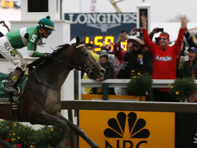 Marlins Man's latest appearance is at the Preakness Stakes 