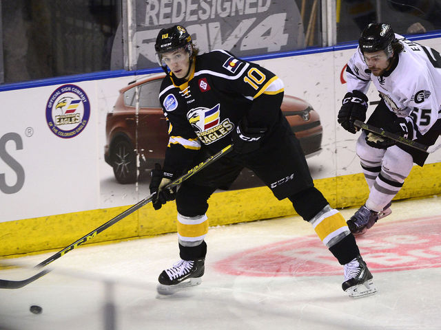 ECHL shifts to 4 divisions, alters playoff format