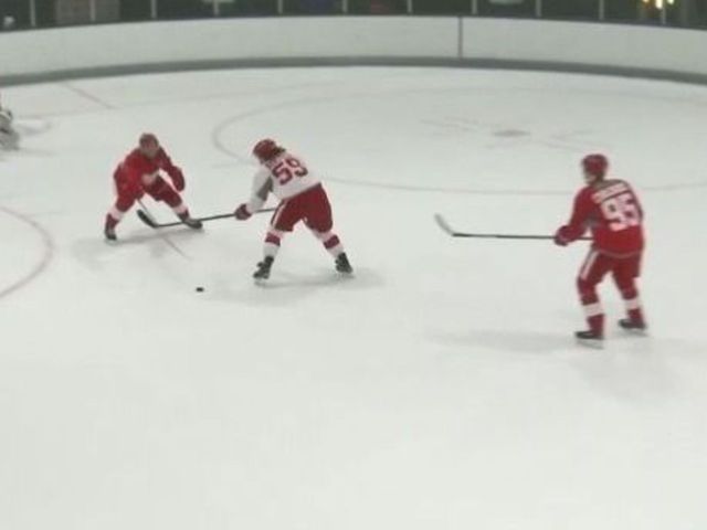 Tyler Bertuzzi sends defender's stick flying before brilliant goal
