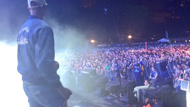 Wade makes surprise appearance at Lollapalooza