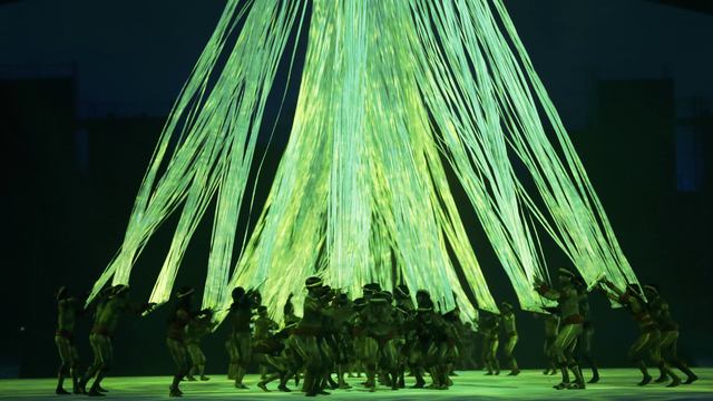 Every Rio 2016 athlete given seed for planned athletes' forest