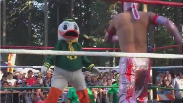 Oregon Duck randomly takes up wrestling