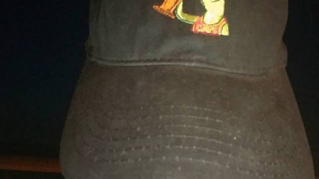 LeBron gives Kermit hat a championship touch