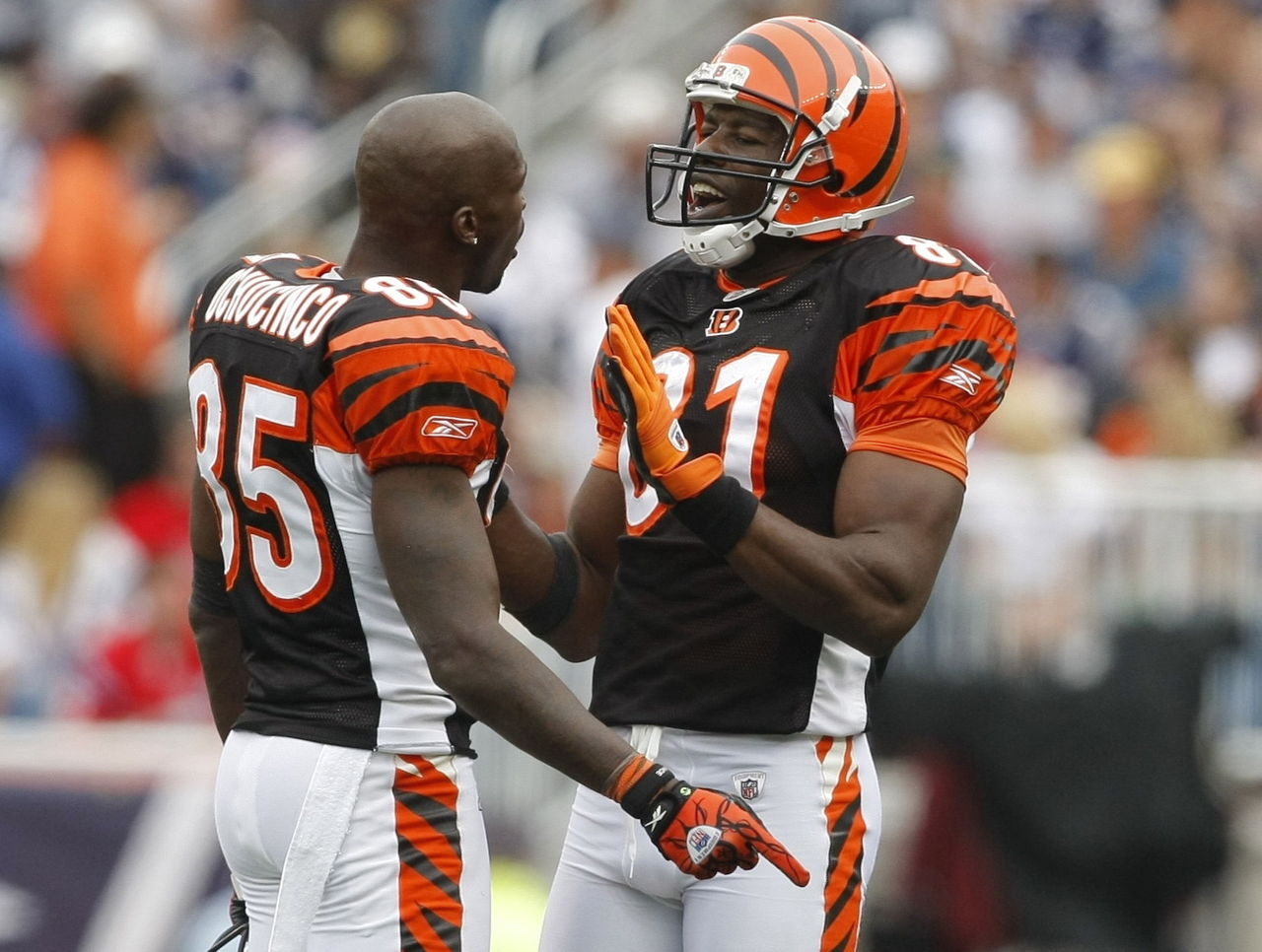 Terrell Owens and Chad Ochocinco: How They Rank Among NFL's Top WR Duos, News, Scores, Highlights, Stats, and Rumors