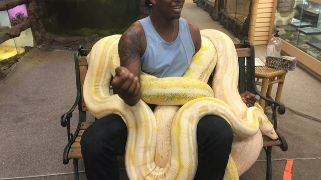 Kevin Seraphin makes friends with giant snake
