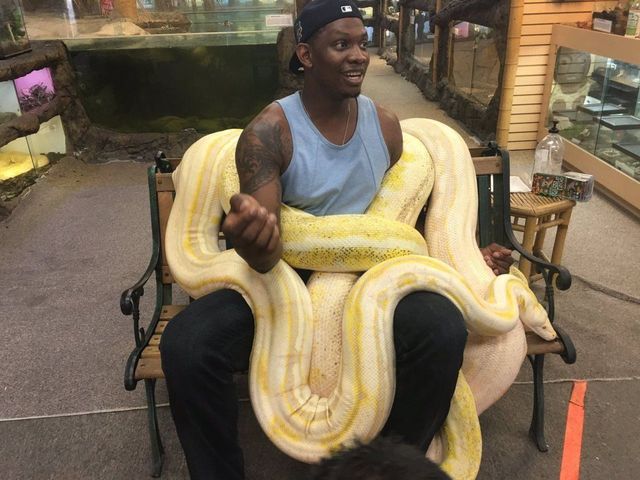 Kevin Seraphin makes friends with giant snake