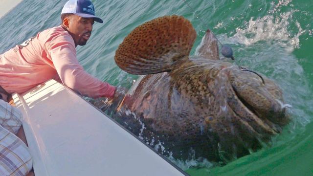 Nuggets' Chandler catches massive fish