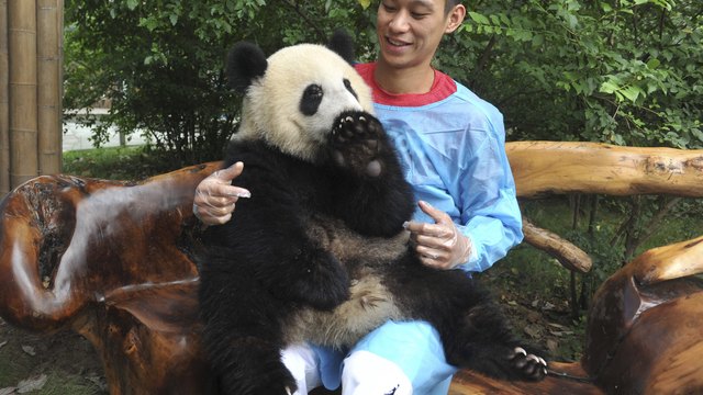 Nets not aiming to replicate Linsanity, want to attract Asian fans