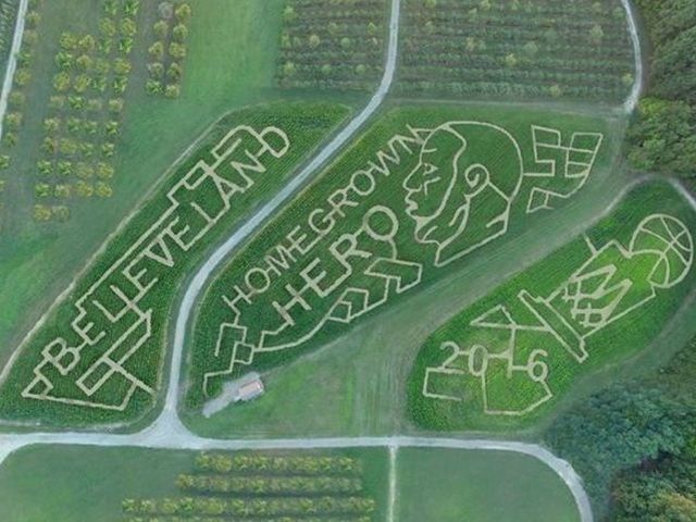 Ohio farm salutes Cavs with intricate corn maze