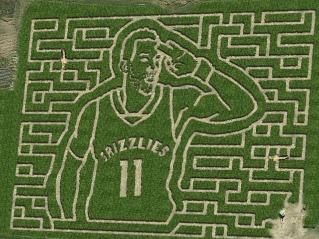 NBA maze craze continues with 'Cornducter'