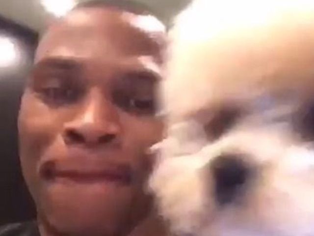 Russ celebrates National Dog Day