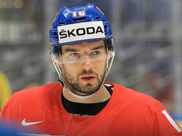 Michal Birner replaces Hertl on Team Czech Republic at World Cup