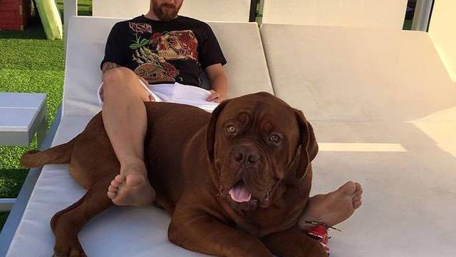 Lionel Messi's dog is bigger than him