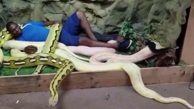 Pacers' Seraphin gets cozy with snakes