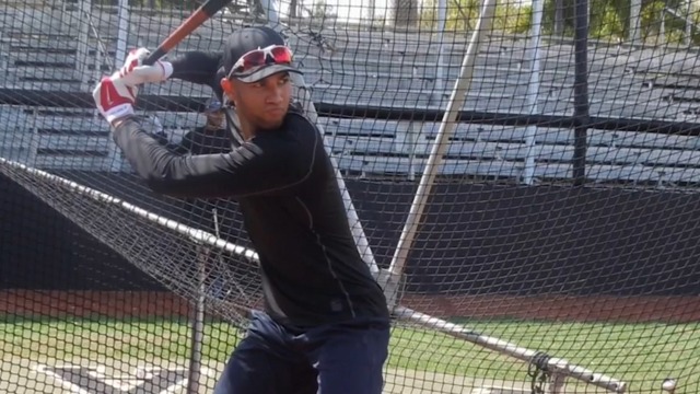 Lourdes Gurriel Jr. showcases skills in front of 60 scouts