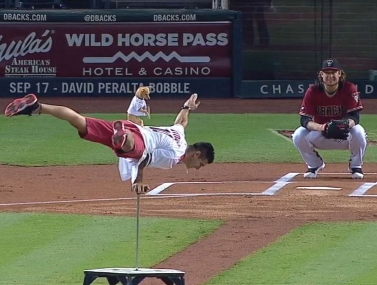 Acrobatic Human Canine Duo Throw Out 1st Pitch At D Backs Game Thescore Com Acrobatic Human Canine Duo Throw Out 1st Pitch At D Backs Game Thescore Com