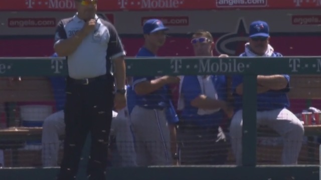 Blue Jays-Angels delayed by swarm of bees