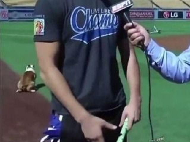 Klay Thompson videobombed by pooping dog at Dodger Stadium