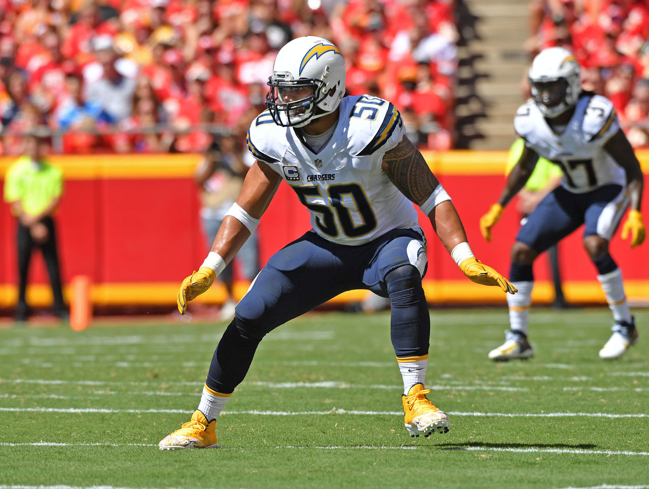 San Diego Chargers' Manti Te'o out for rest of season with torn