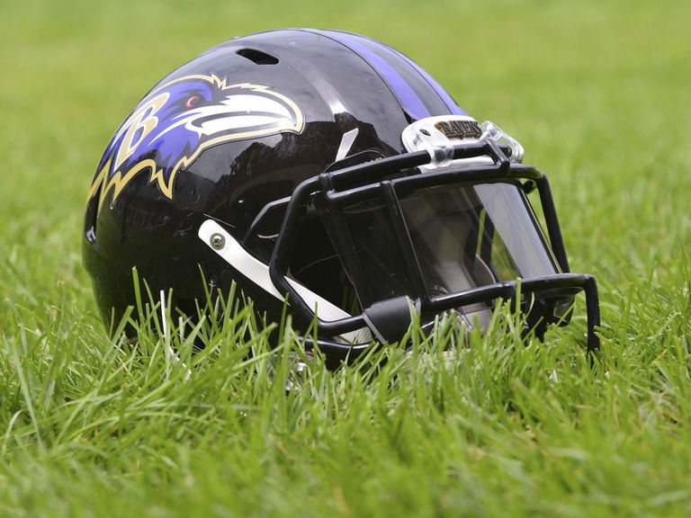 Ravens Fan In Critical Condition After Being Attacked By 2 Raiders ...