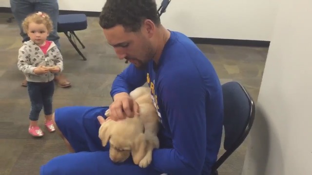 Klay Thompson meets same-named service puppy