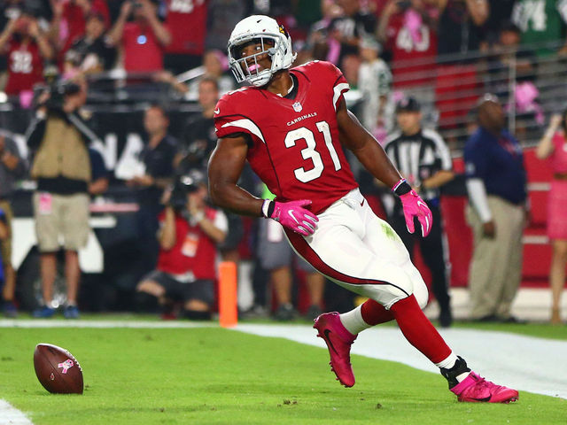 Arians hoping to get Johnson 'back by Christmas'