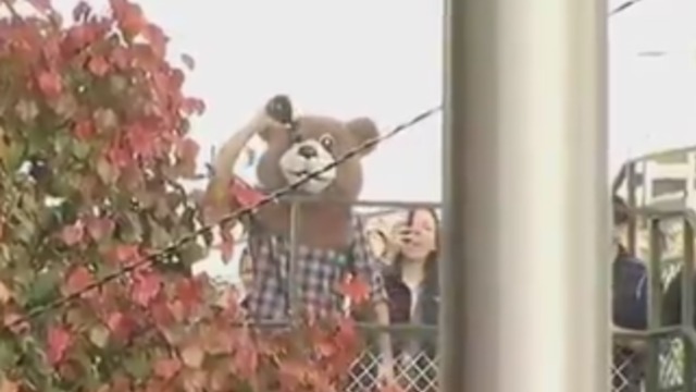 Watch: Cubs' Epstein rocks bear costume, pours champagne on himself