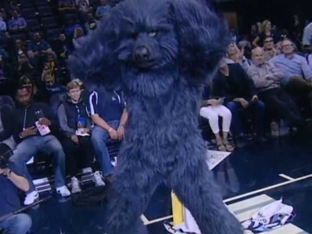 Grizzlies mascot performs striptease to 'Pony'