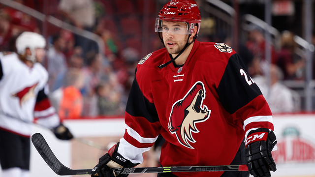 AHL game postponed after Roadrunners captain collapses